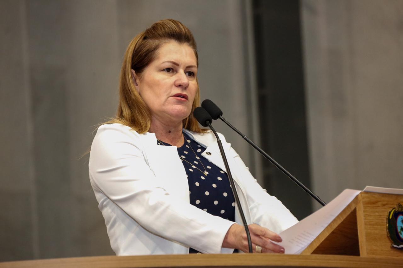 Deputada Roberta Arraes destaca a importância do Programa Líder Sertão do Araripe