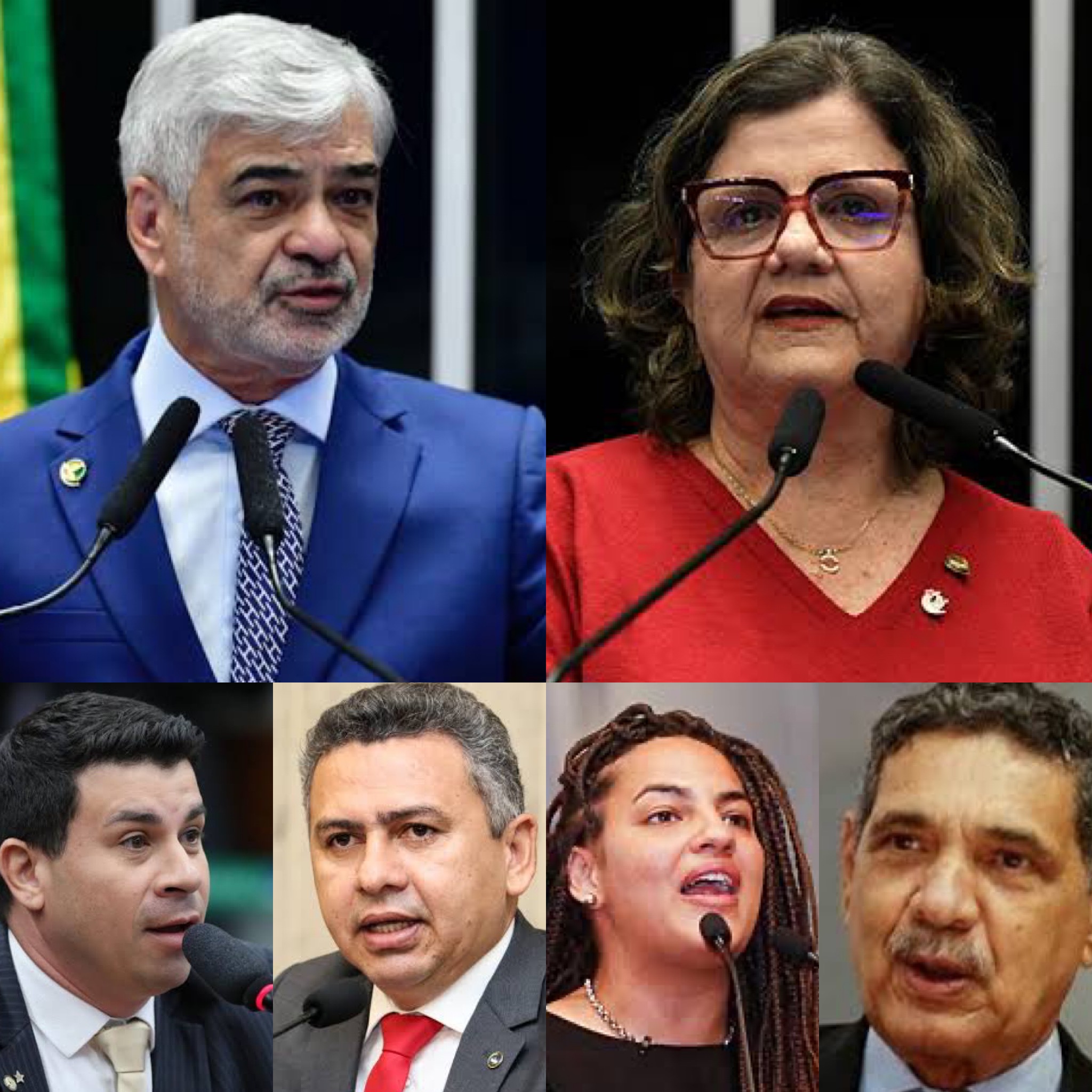 Humberto Costa PT Teresa Leitão Doriel Barros Carlos Veras João Paulo Lima e Silva Rosa Amorim Partido dos Trabalhadores